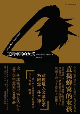 直捣蜂窝的女孩 (千禧年系列)