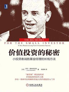 价值投资的秘密：小投资者战胜基金经理的长线方法