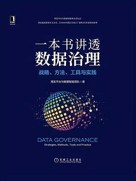 一本书讲透数据治理：战略、方法、工具与实践