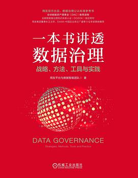一本书讲透数据治理