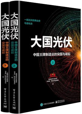 大国光伏