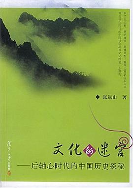 文化的迷宫