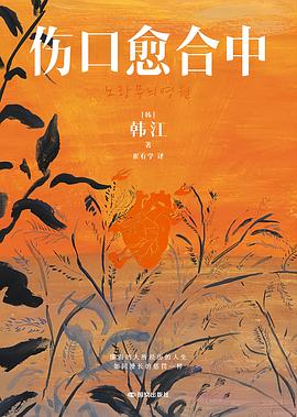 伤口愈合中