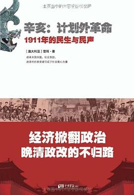 辛亥·计划外革命
